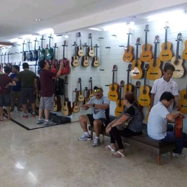 Alegre Guitars