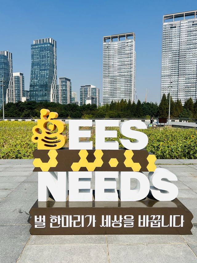 해바라기가 만개한 인천 송도센트럴파크🌻