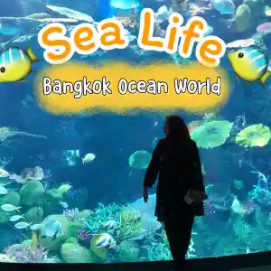 Sea Life Bangkok Ocean World สยามพารากอน