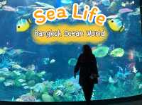 Sea Life Bangkok Ocean World สยามพารากอน