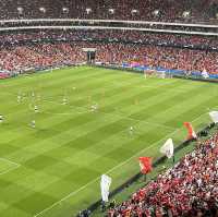 Watching a Champions league Game 