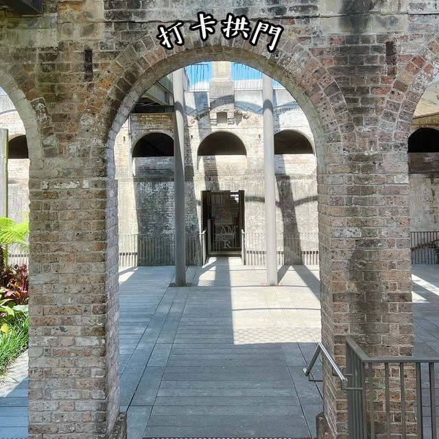 帕丁頓水庫花園 Paddington Reservoir Gardens 💐