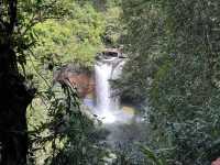 khao yai national park 