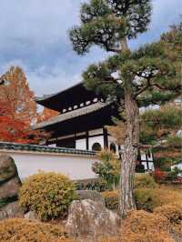 日本京都賞楓景點-東福寺通天橋