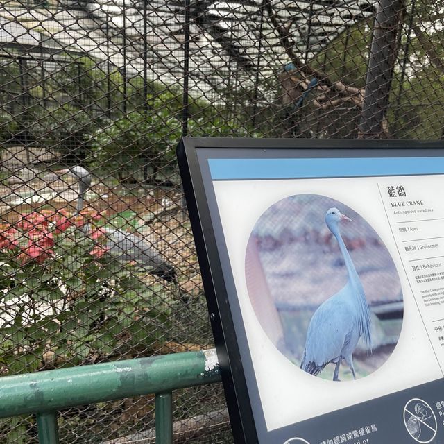 有花有得意動物的市肺 - 香港動植物公園