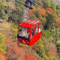 日本 最美的還是風景🍁🌼🗻