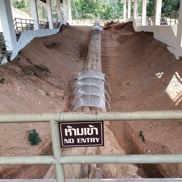อุทยานแห่งชาติไม้กลายเป็นหิน 