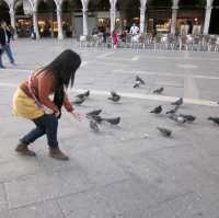St. Mark's Square Venice, Italy 