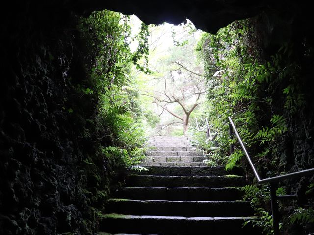 신비하고 시원한곳, 한림공원🌿