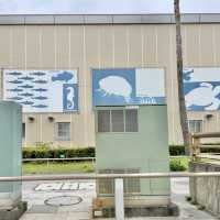 新江ノ島水族館の壁画アート