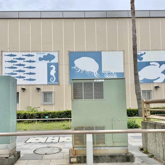 新江ノ島水族館の壁画アート
