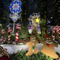Flower Dome, Christmas light Editon