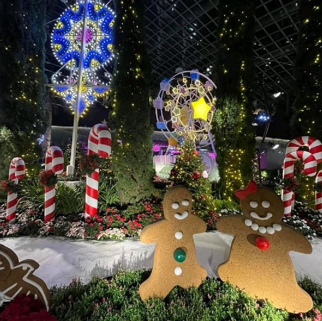 Flower Dome, Christmas light Editon