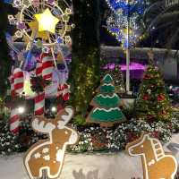 Flower Dome, Christmas light Editon