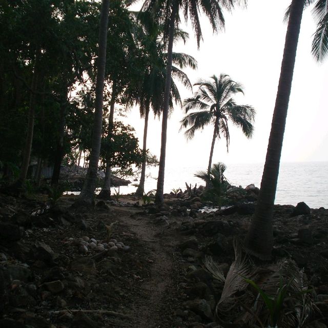 แหลมใบลาน