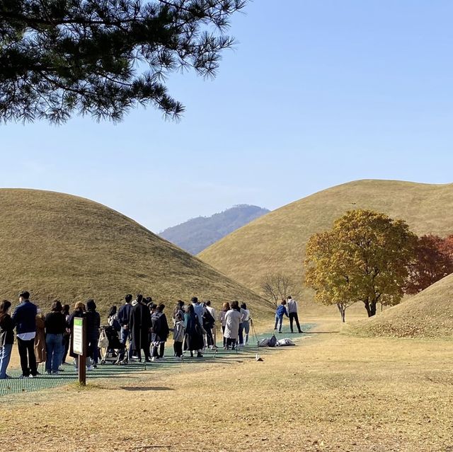 경주에 가면 대릉원을 들리세요 ~ 🎶