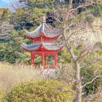 上海友好園とほとりの梅の花