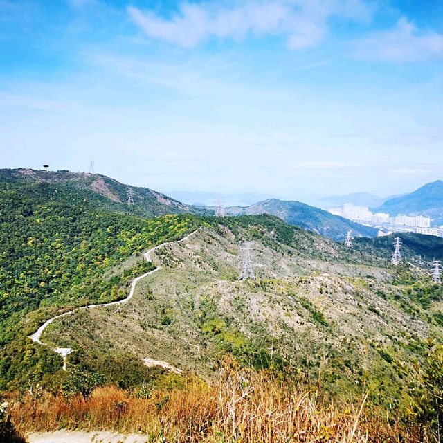 針山