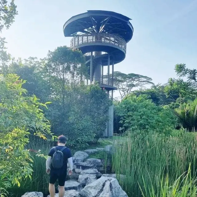 Nature's Wonders at Kranji Marshes 