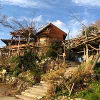 滋賀県にあるシャーレ水が浜にやってきた🙌