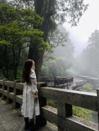Alishan - Shenmu station 