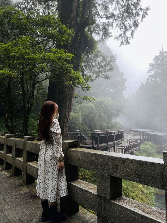 Alishan - Shenmu station 