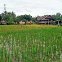 Visiting the Living land organic farm