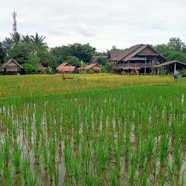 Visiting the Living land organic farm