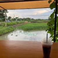 เจริญกัลป์ Cafe’ and Farmstay หนองชิ่ม จันทบุรี