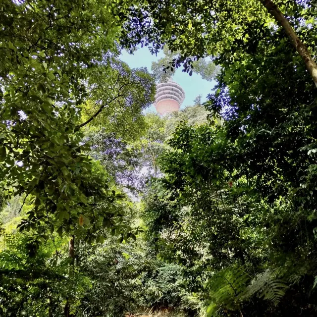 Exploring out the Eco park in Kuala Lumpur