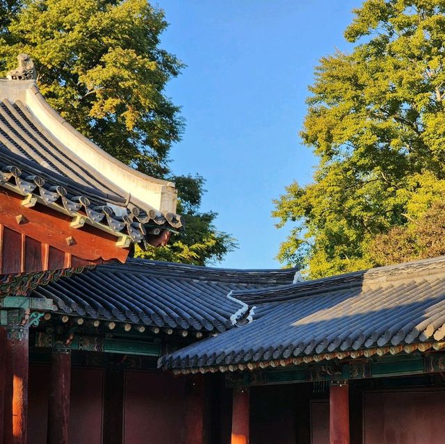 📷 전주의 역사를 만날 수 있는, 경기전