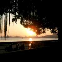 日出瀟灑🌅黃昏浪漫💐