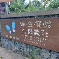 大埔蝶豆花園 天空之鏡 親親大自然
