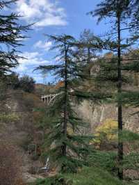 트빌리시 보타니컬 가든 🌲 조지아 피트닉 명소