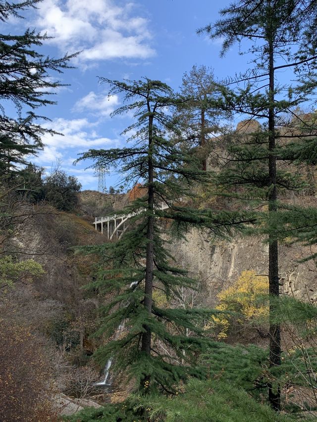 트빌리시 보타니컬 가든 🌲 조지아 피트닉 명소