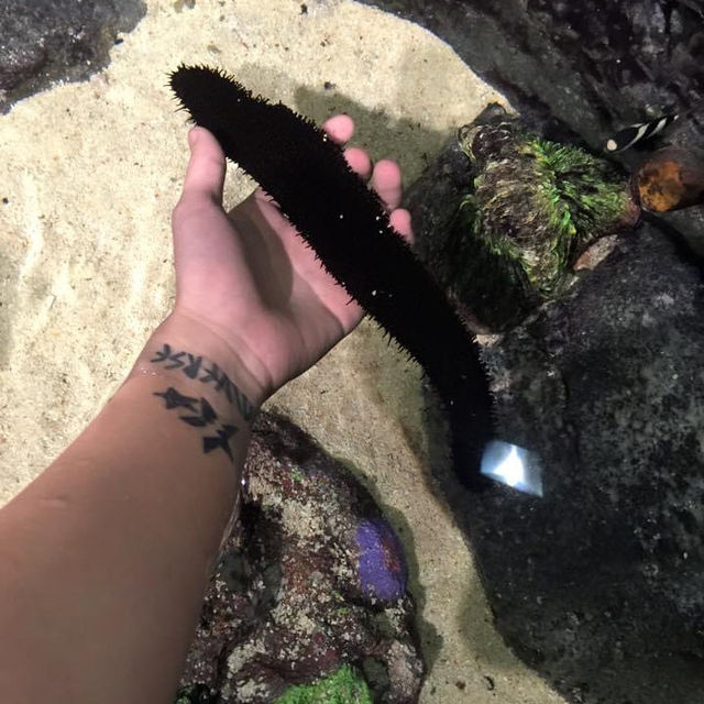 旅遊推介 吉隆坡-城中城水族館