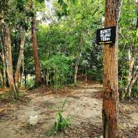 Bukit Hijau, Hiking Trail 👣✨