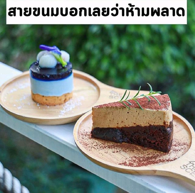 ☕คอกาแฟขนมหวาน อาหารอร่อย วิวแม่น้ำ ไม่ควรพลาด🏝