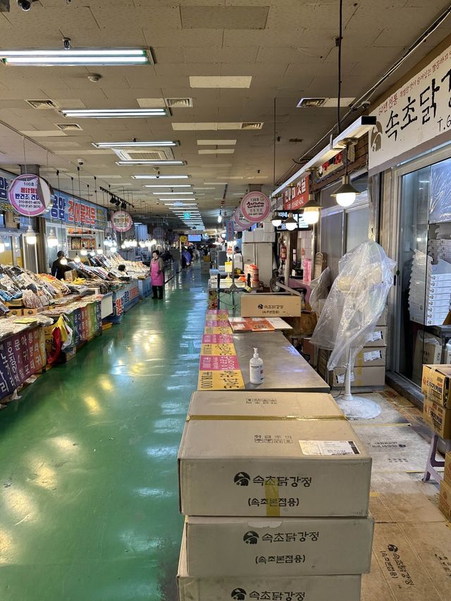 속초 수산 시장