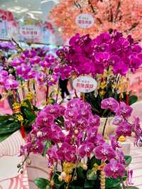 打卡好去處 粉紅櫻花園林🌸