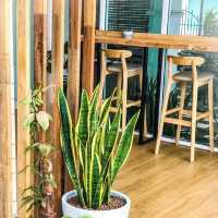คาเฟ่สีขาวหน้าวัดร่องขุ่น GREENHUT CAFÉ 