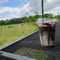 ระพีคาเฟ่ & บิสโตร
