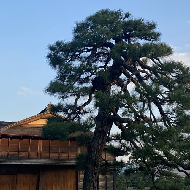 東京〝浜離宮恩賜庭園〟