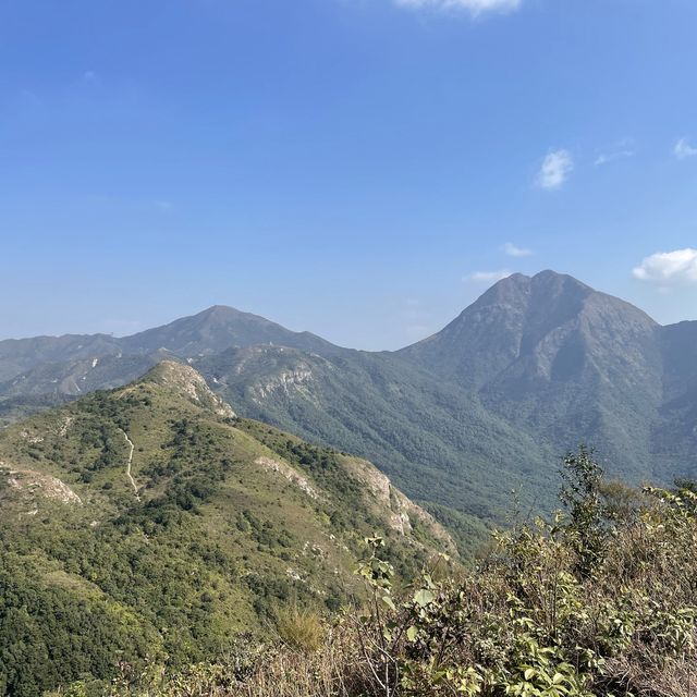 大嶼山看芒草🌾