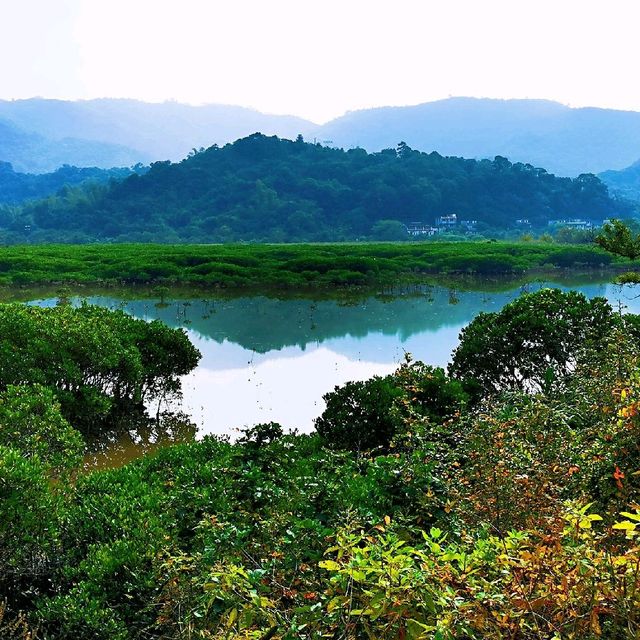 連島沙洲 －水浸咀排； 通天洞－芝麻籠