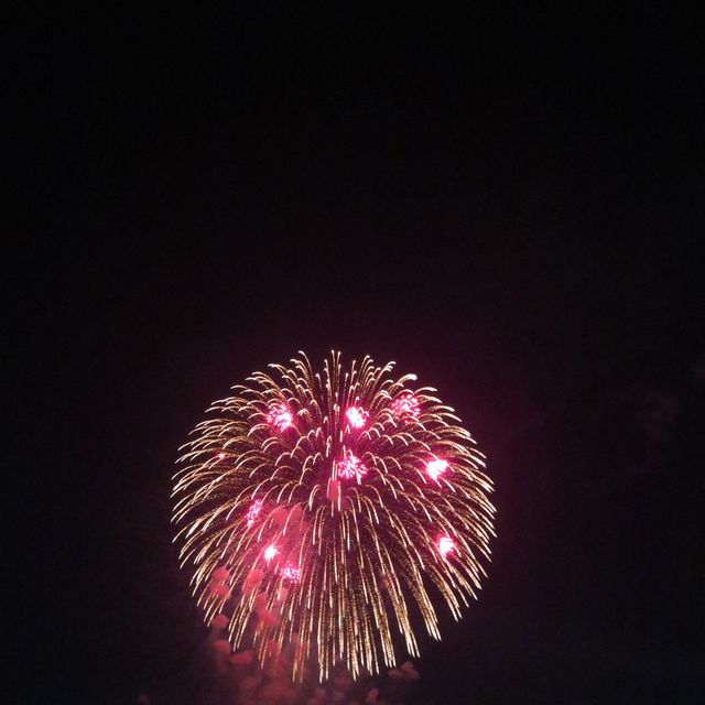 立川にある昭和記念公園 毎年行われる花火大会