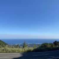 車窓からも見れる紀元杉in屋久島