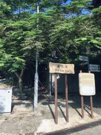 南丫島行山一日遊