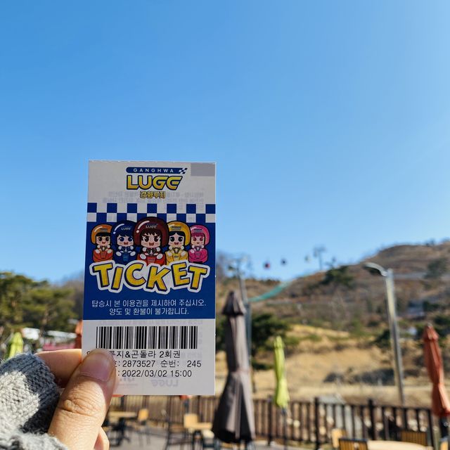 어른아이 모두타기 좋은 액티비티, 루지🚘