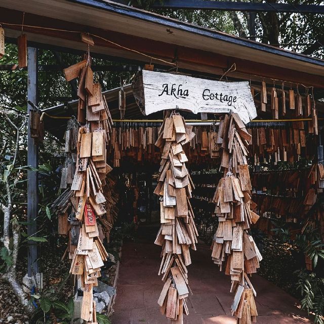 ☕จิบกาแฟกลางป่า ที่อาข่าคอทเทจ🌳